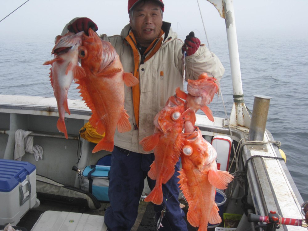 メヌケ類を釣り上げた様子